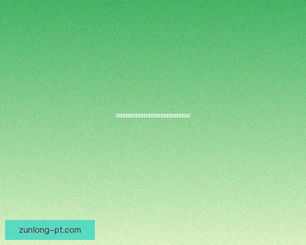 尊龙娱乐平台全面解析：功能特色、用户体验与安全保障深度剖析